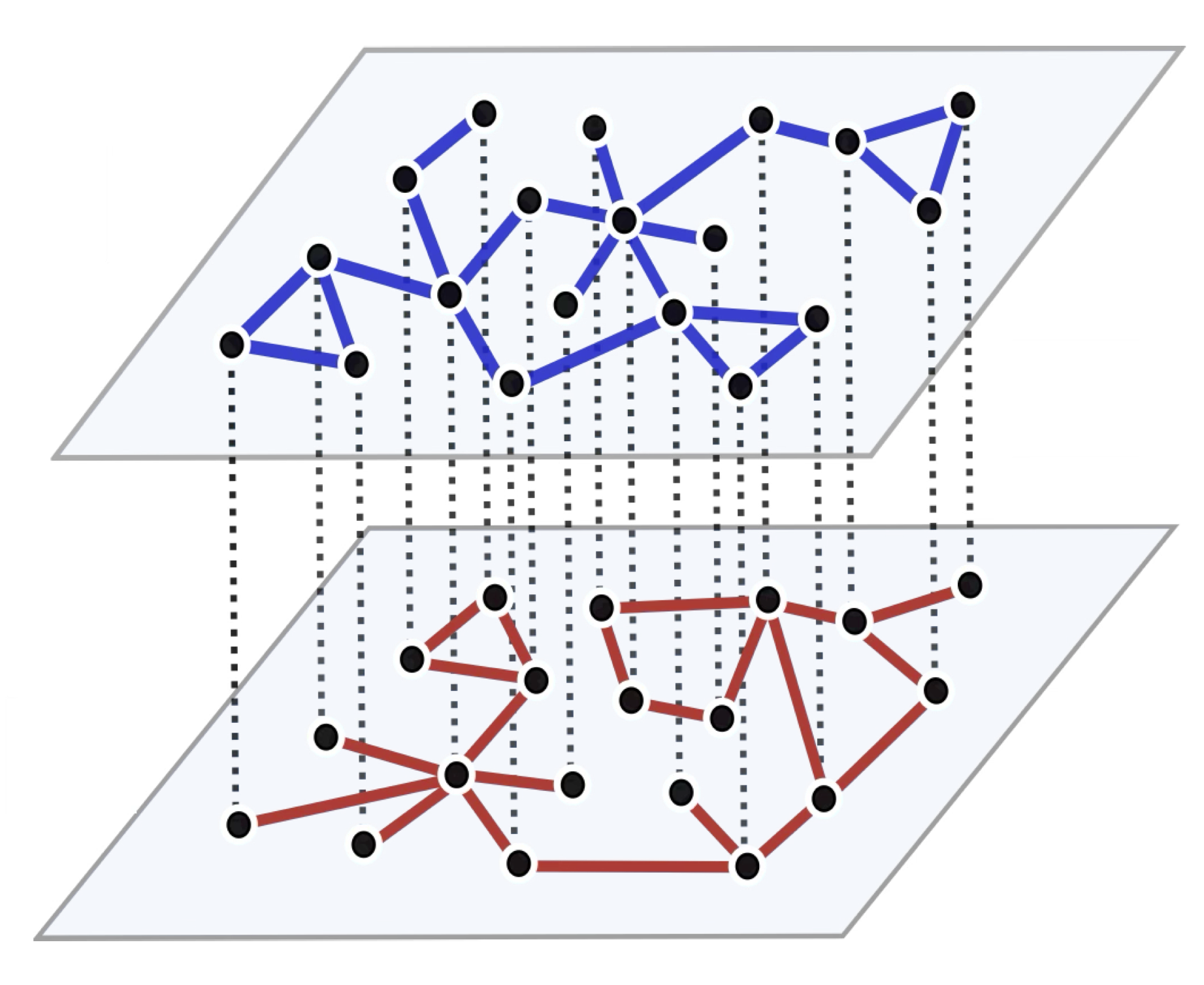 Statistical physics and dynamics on networks